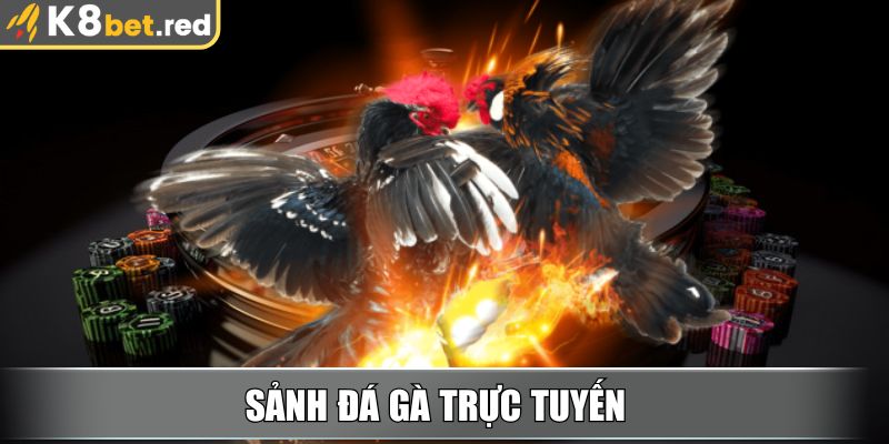 K8bet Red - Link Vào Nhà Cái K8bet Mới Nhất Tháng 11/2025 5 Sảnh Đá Gà trực tuyến