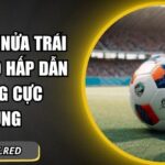 Kèo chấp nửa trái