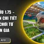 Kèo tài xỉu 1.75